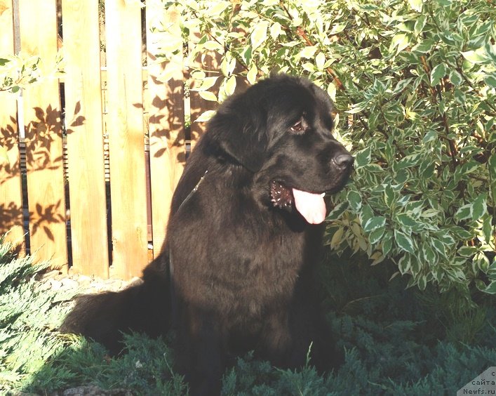 Фотография № 236850