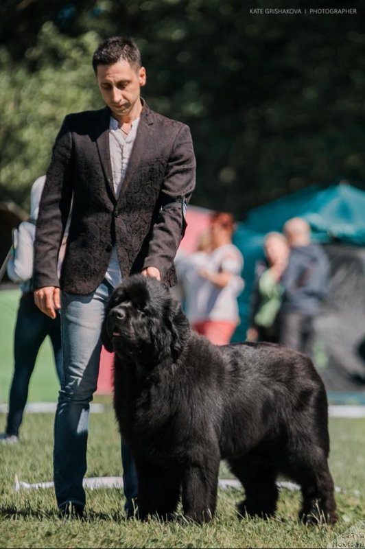 Фотография № 236854