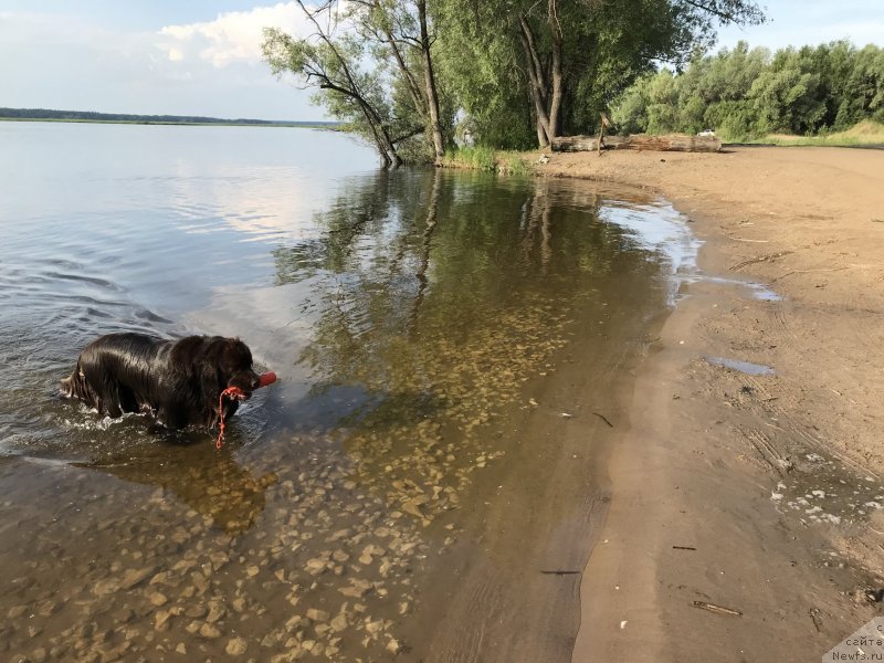 Фотография № 236862