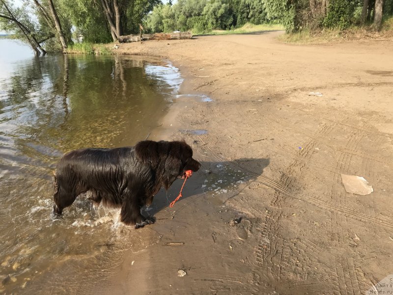 Фотография № 236864