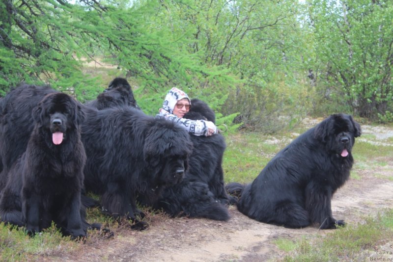 Фотография № 236886