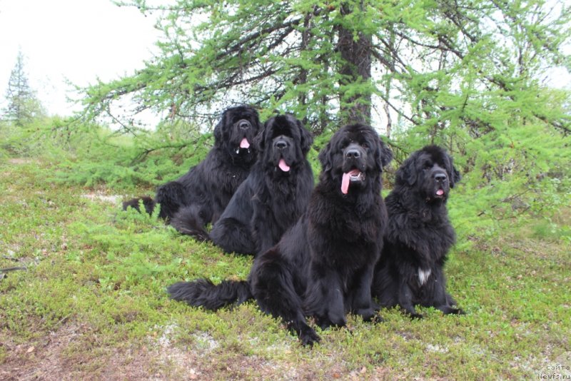 Фотография № 236888