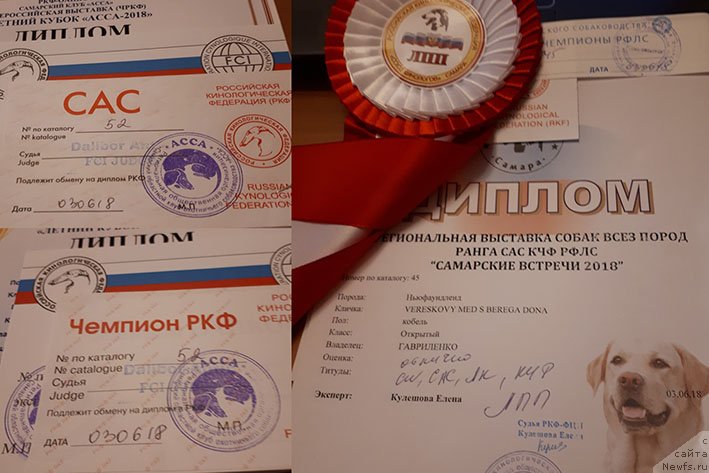 Фотография № 236911