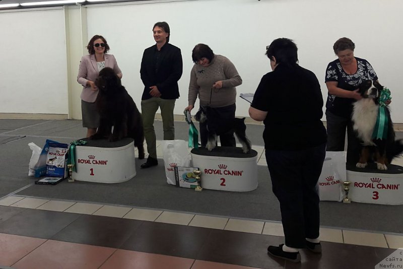 Фотография № 236912