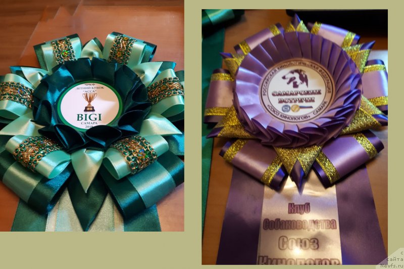 Фотография № 236914