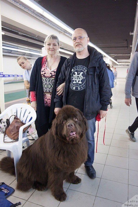 Фотография № 236916