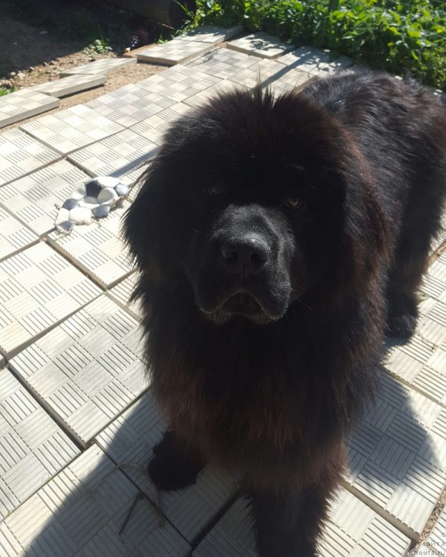 Фотография № 236919