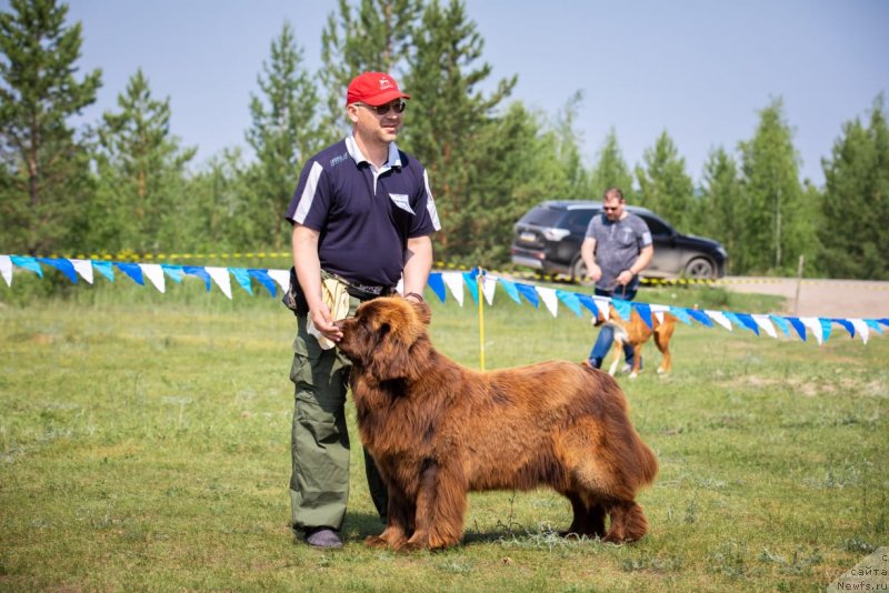 Фотография № 236920