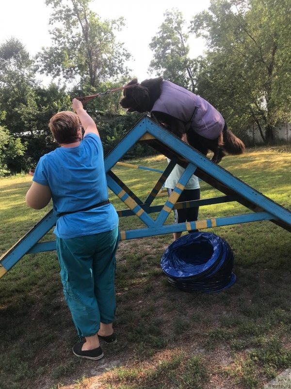 Фотография № 236923