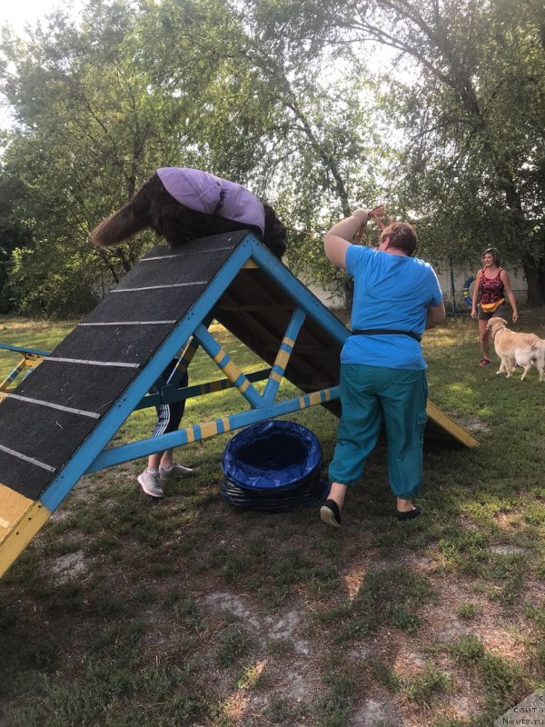 Фотография № 236924