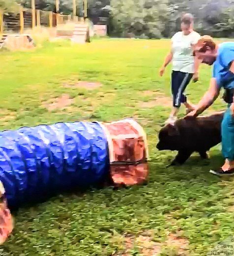 Фотография № 236925