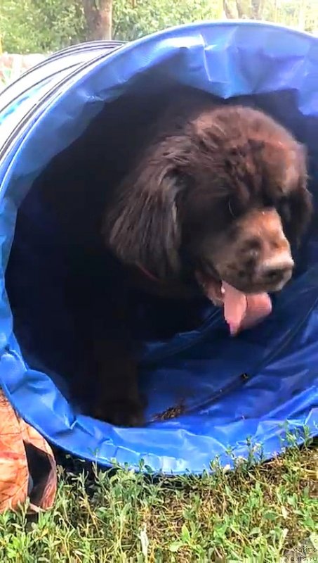 Фотография № 236926