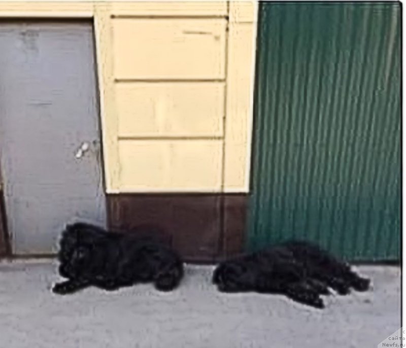 Фотография № 236927