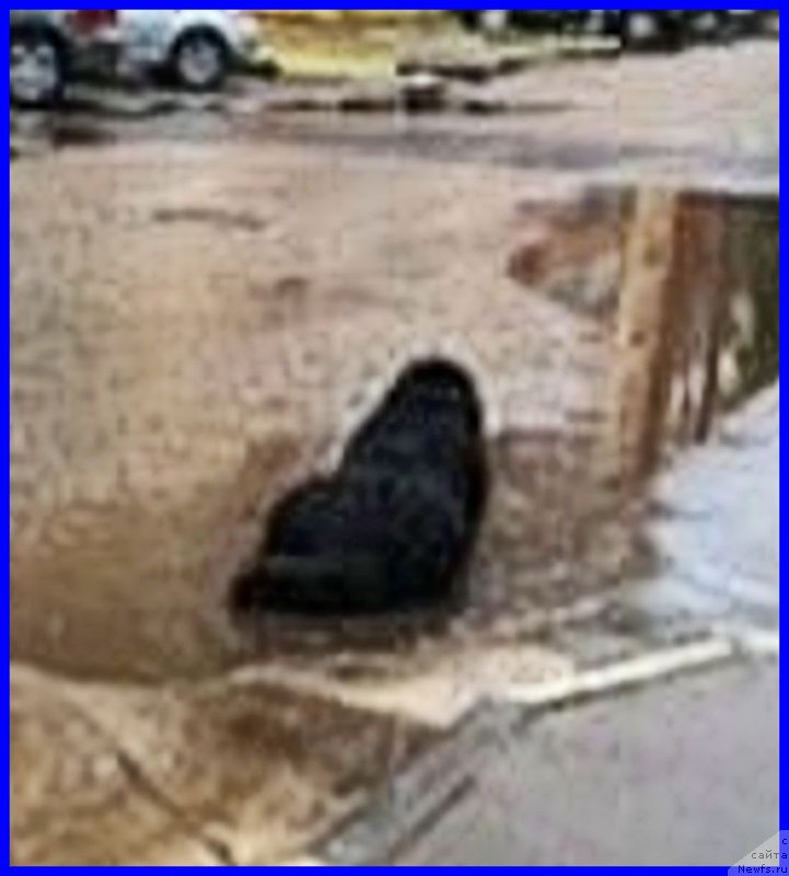 Фотография № 236928