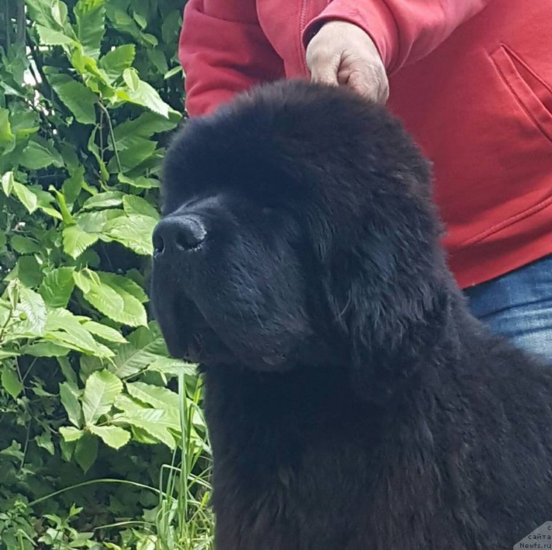 Фотография № 236933