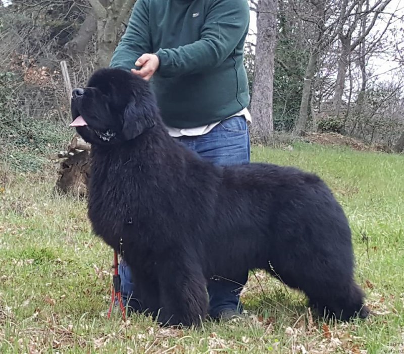 Фотография № 236935