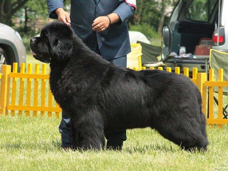 Фотография № 236942