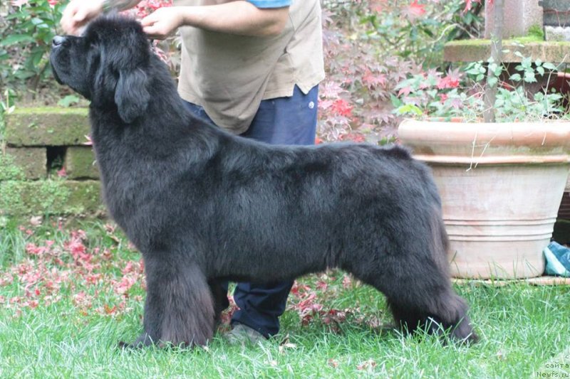 Фотография № 236947