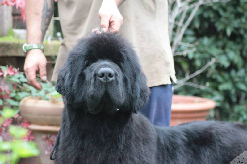 Фотография № 236949