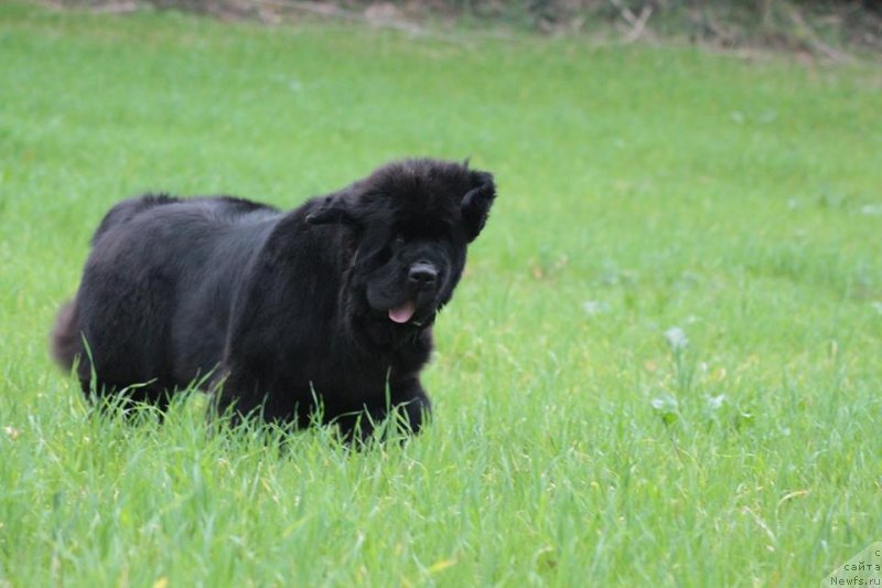 Фотография № 236950