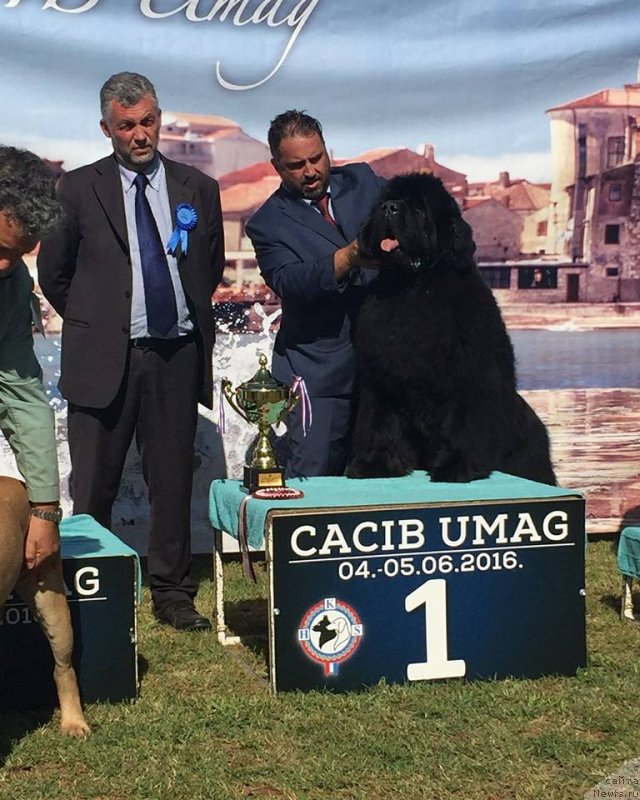 Фотография № 236951