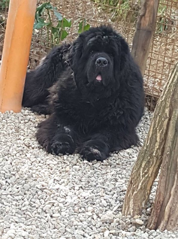 Фотография № 236954