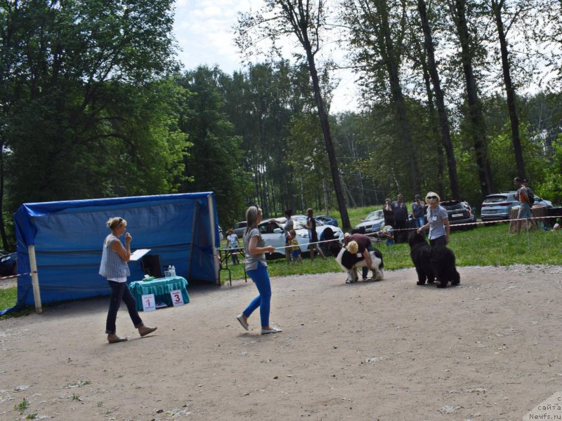 Фотография № 236959