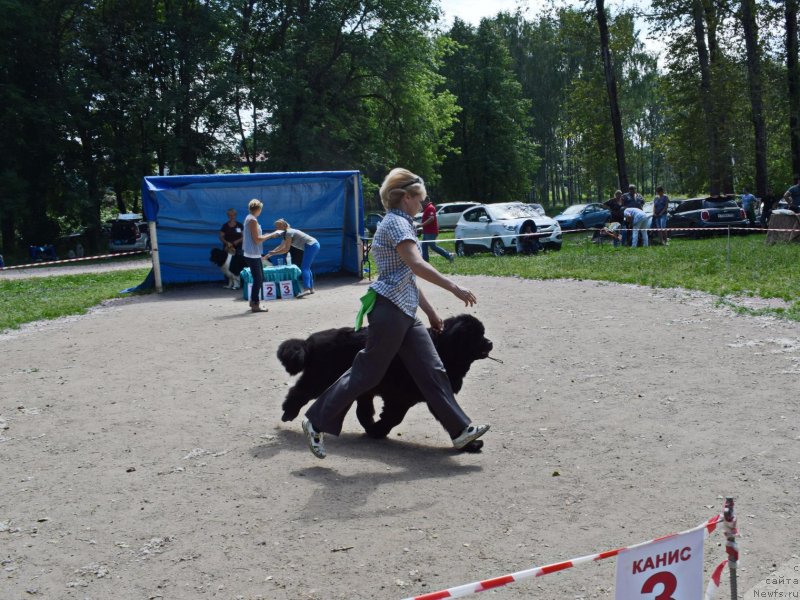 Фотография № 236960