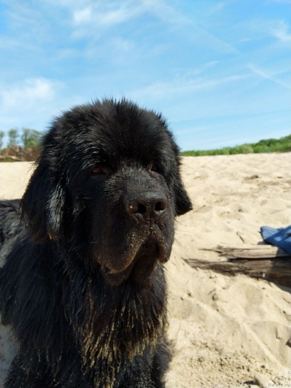 Фотография № 236964