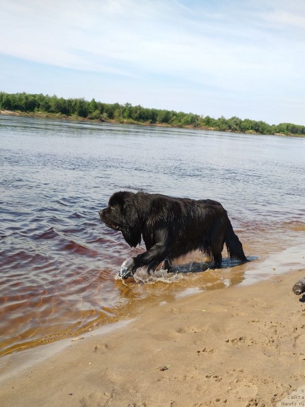 Фотография № 236965