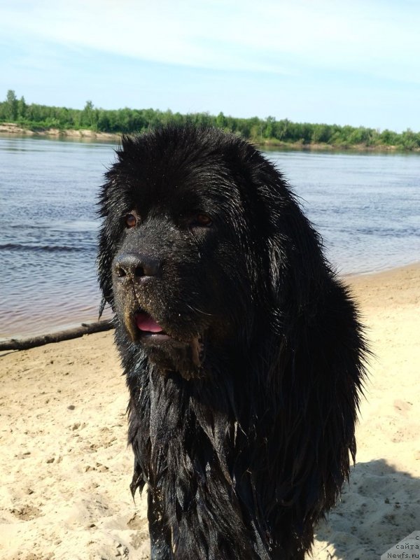 Фотография № 236966