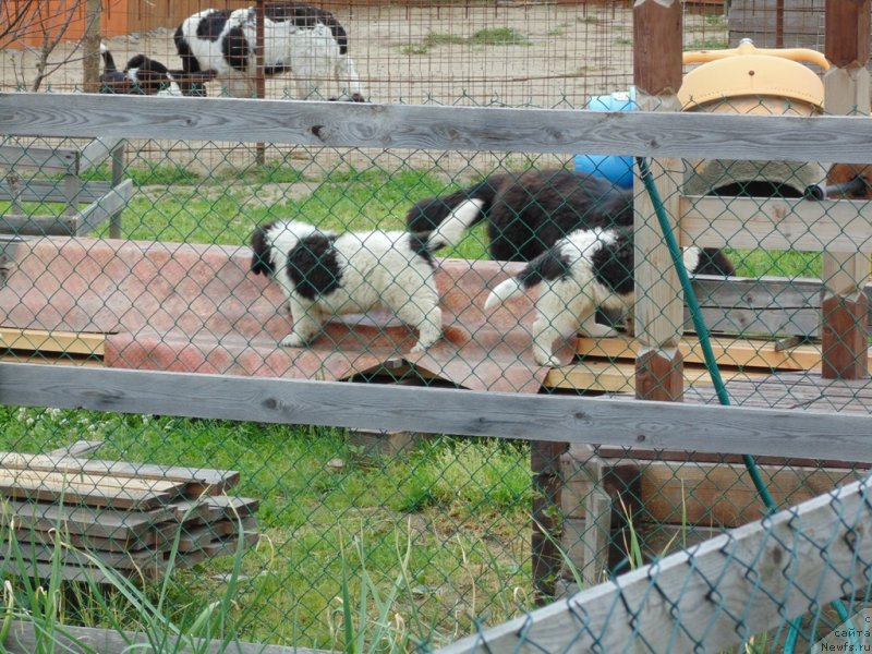 Фотография № 236973