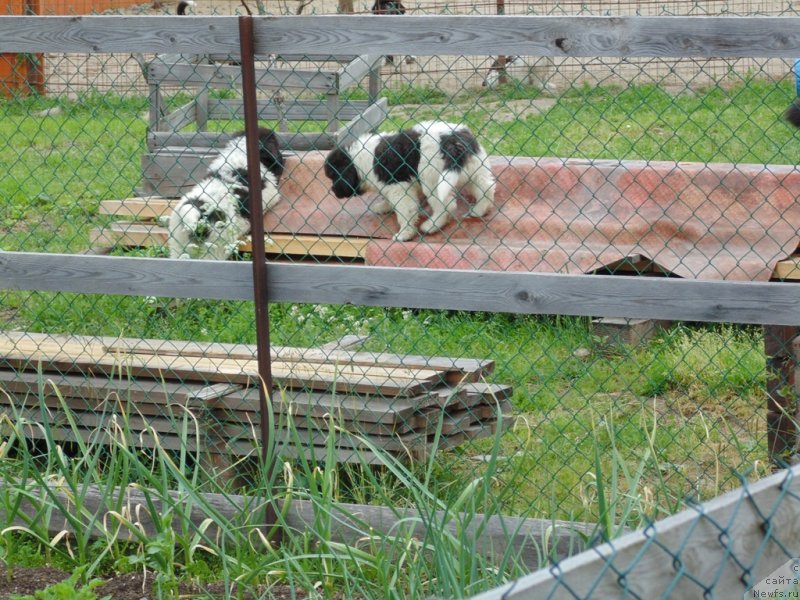 Фотография № 236974