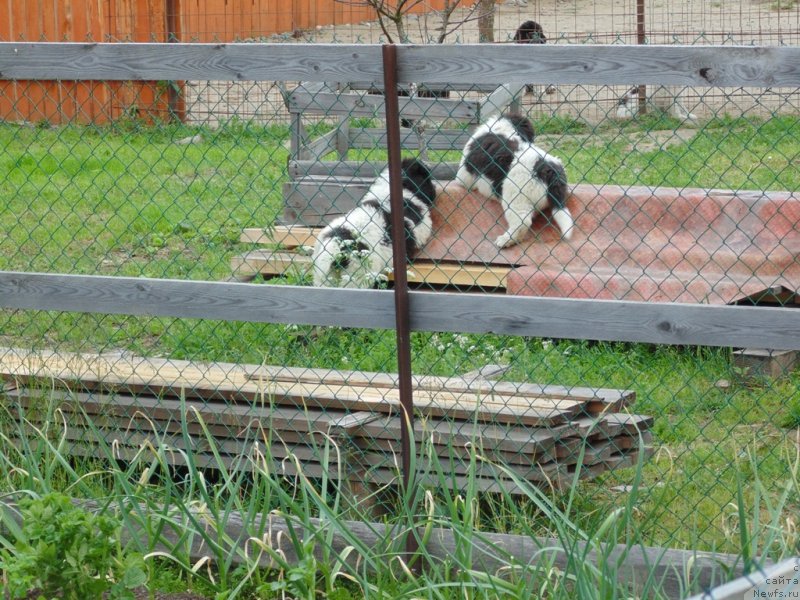 Фотография № 236975