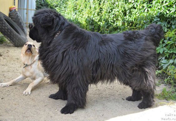 Фотография № 236991