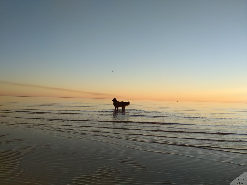 Фотография № 236993