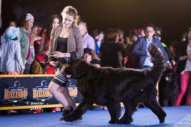 Фотография № 236994