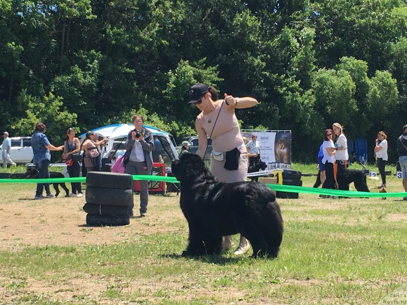 Фотография № 237008