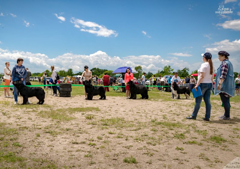 Фотография № 237010