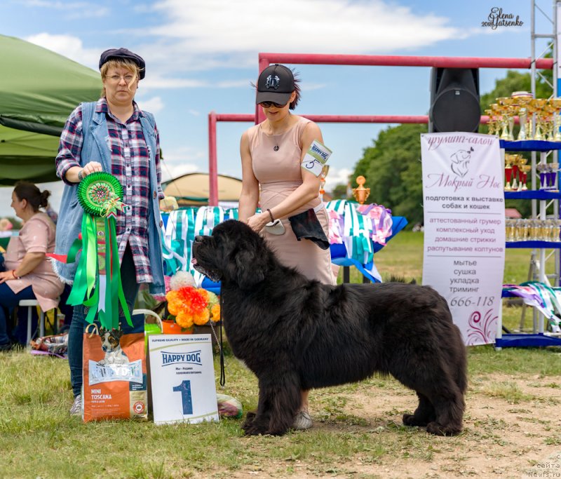 Фотография № 237011