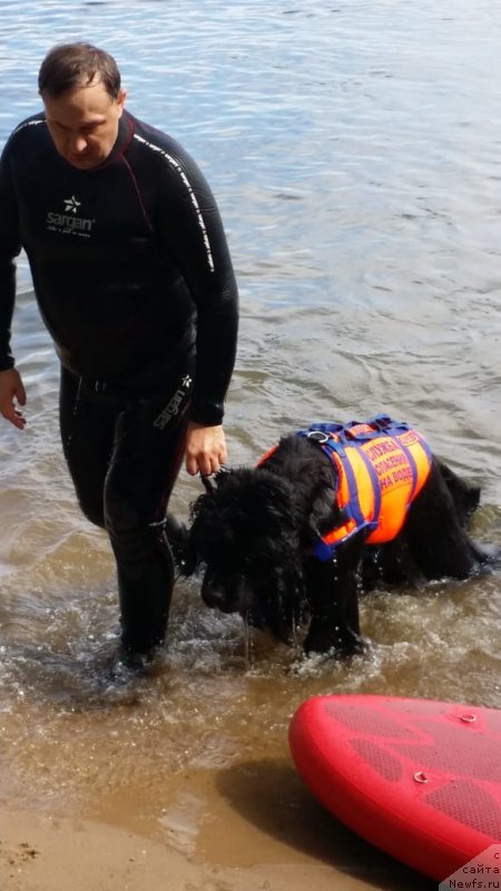 Фотография № 237049