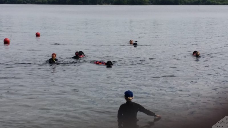 Фотография № 237051