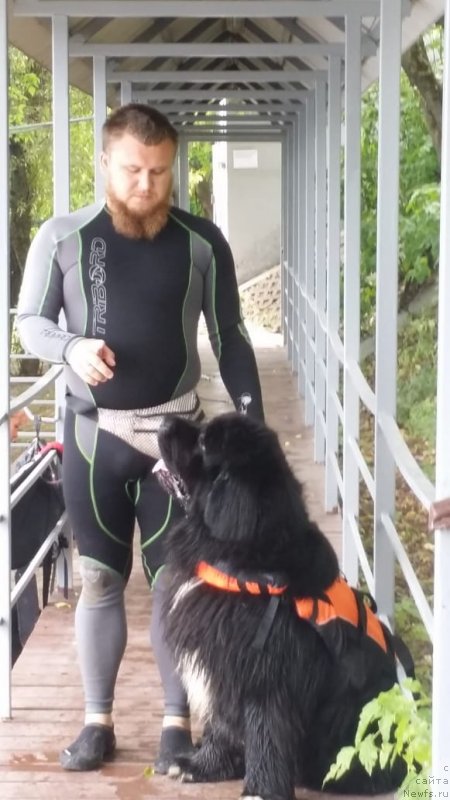 Фотография № 237053