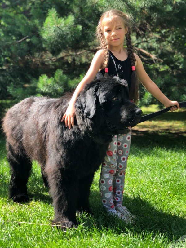 Фотография № 237073