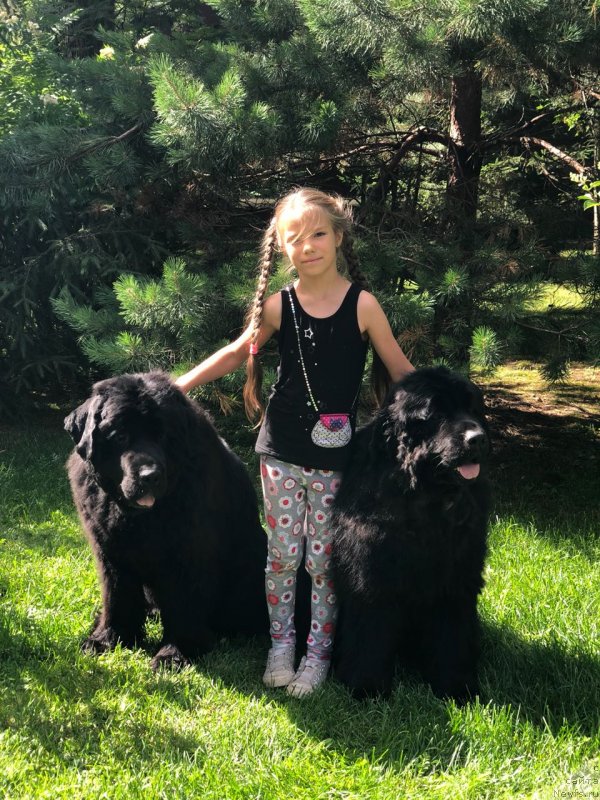 Фотография № 237074