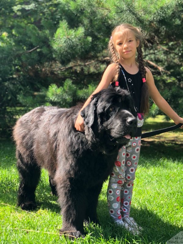 Фотография № 237075