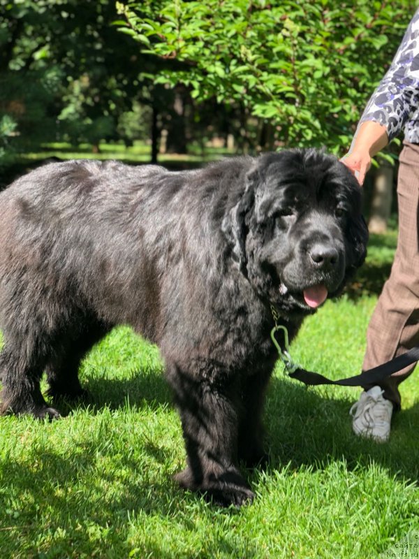 Фотография № 237081