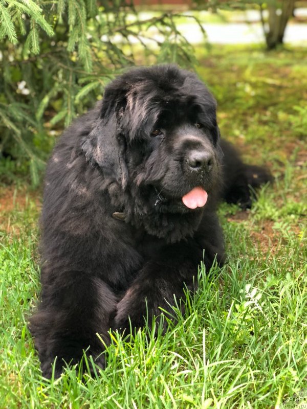 Фотография № 237082