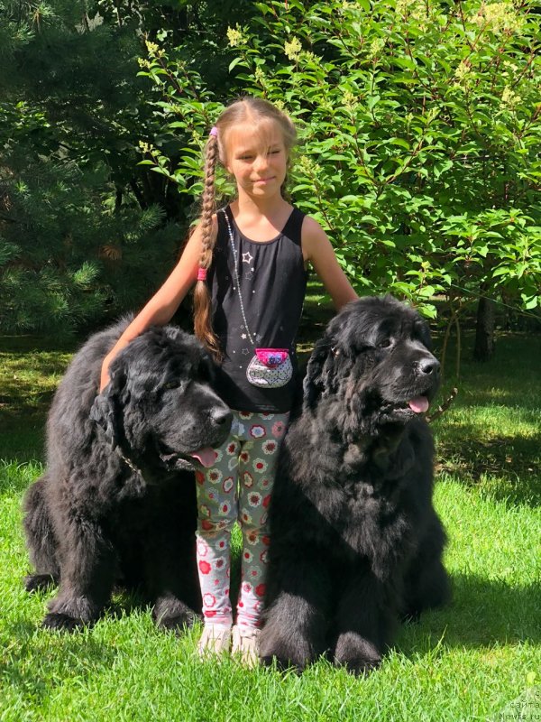 Фотография № 237083