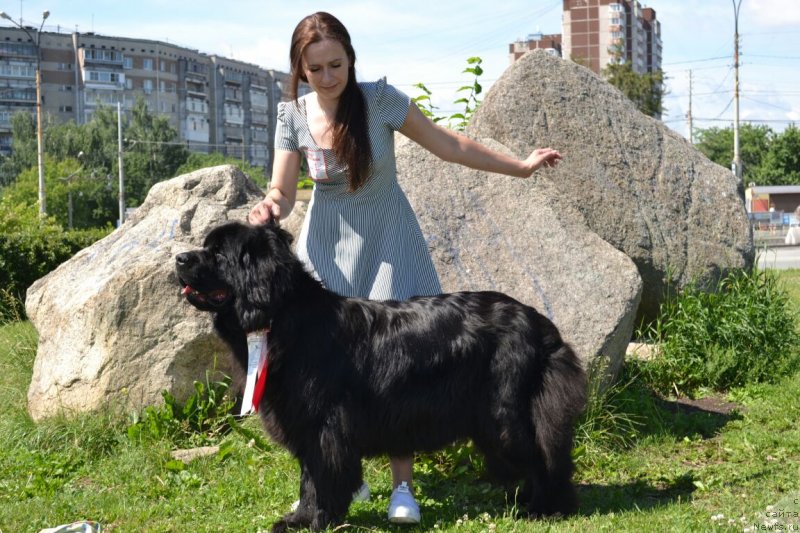 Фотография № 237086